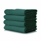 Dylon Fabric Machine Dye - Emerald Green 04