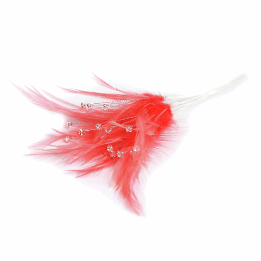 Dark Coral Diamante Feathers (Pack of 6)