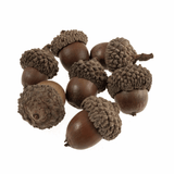 Natural Acorns (Pack of 50)