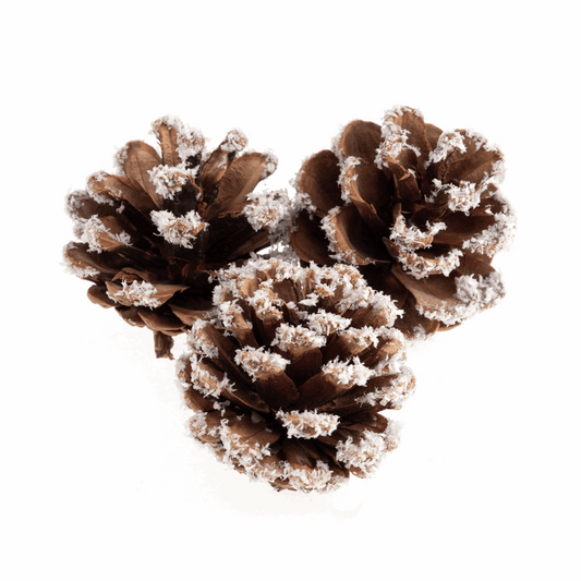 Frosted Pine Cones (Pack of 9)