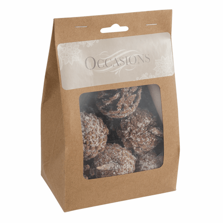 Frosted Pine Cones (Pack of 9)