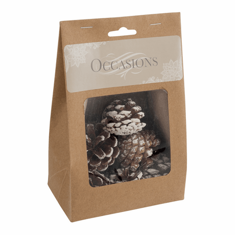 White Tipped Pine Cones (Pack of 9)