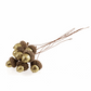 Gold Glitter Acorns on Wire (Pack of 8)
