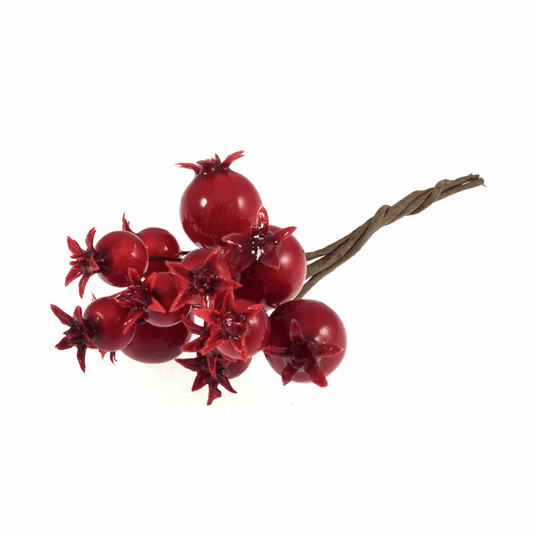 Pomegranate Bunch on Wire (Pack of 12 Stems)