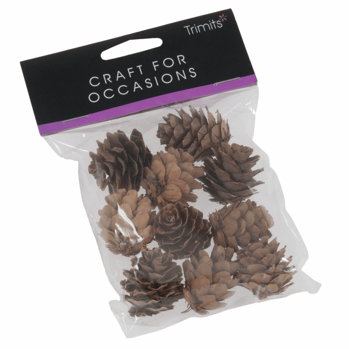 Trimits Natural Pine Cones (Pack of 10)
