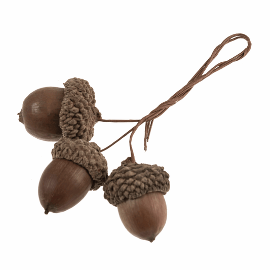 Natural Acorns on Wire (Pack of 9 Stems)