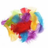 Trimits Multi-Coloured Small Feathers - Assorted Pack of 100