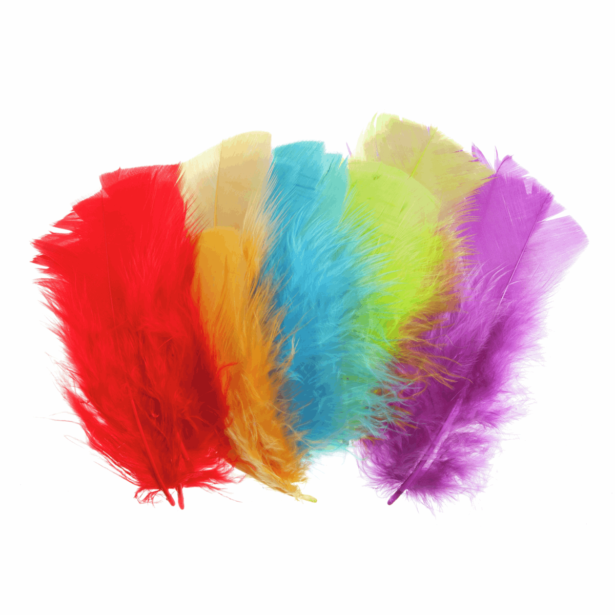 Trimits Multi-Coloured Small Feathers - Assorted Pack of 100