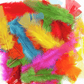 Trimits Multi-Coloured Large Feathers - Assorted Pack of 50