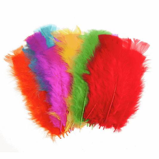Trimits Multi-Coloured Large Feathers - Assorted Pack of 50