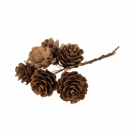 Natural Pinecone Stems on Wire (Pack of 6 Stems)