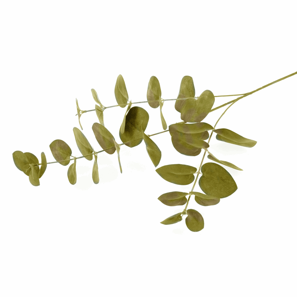 Artificial Light Green Eucalyptus Leaves - 60cm (1 Piece)