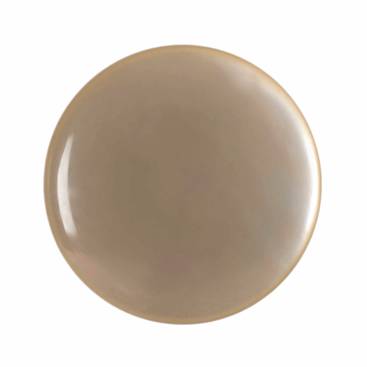 Hemline Shiny Cream Button - 11.25mm (Pack of 8)