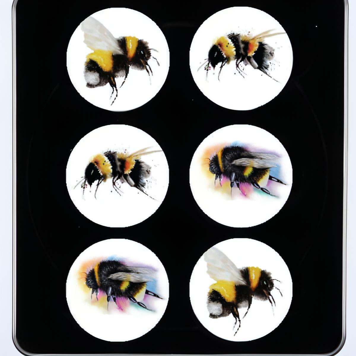 Bee Pattern Weights - 6 Pack