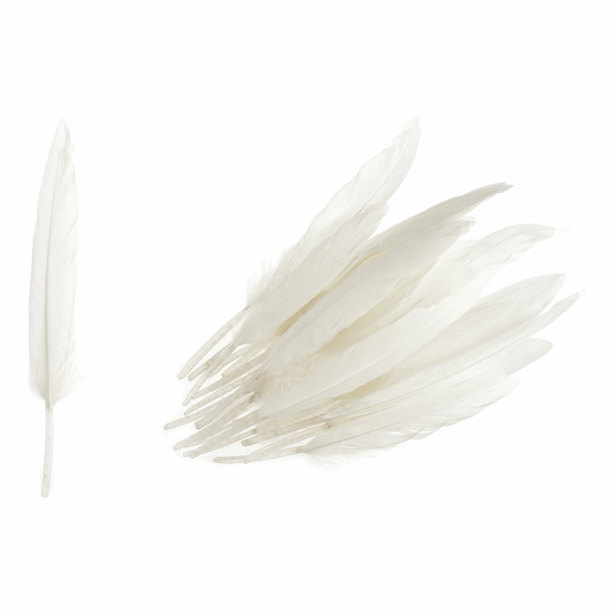 Trimits Duck Feathers - White (Pack of 24)