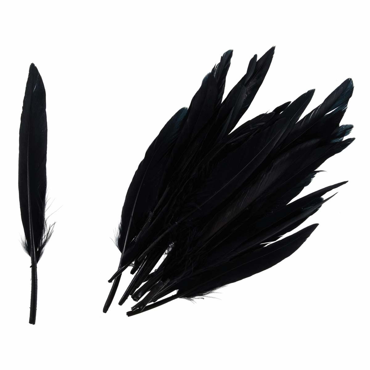 Trimits Duck Feathers - Black (Pack of 24)