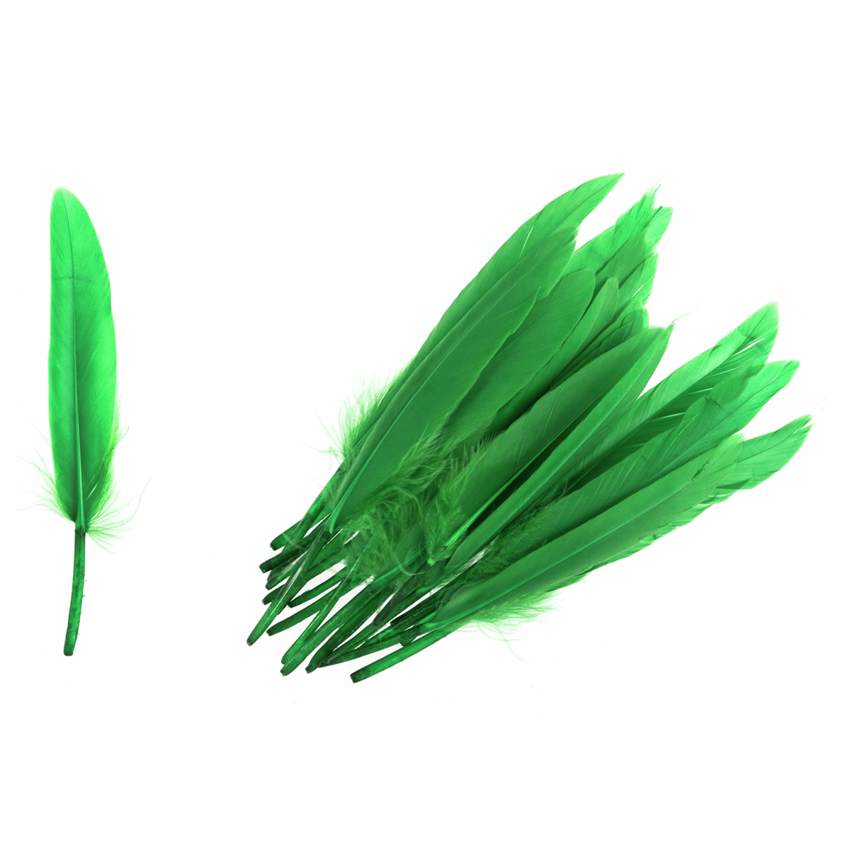 Trimits Duck Feathers - Green (Pack of 24)