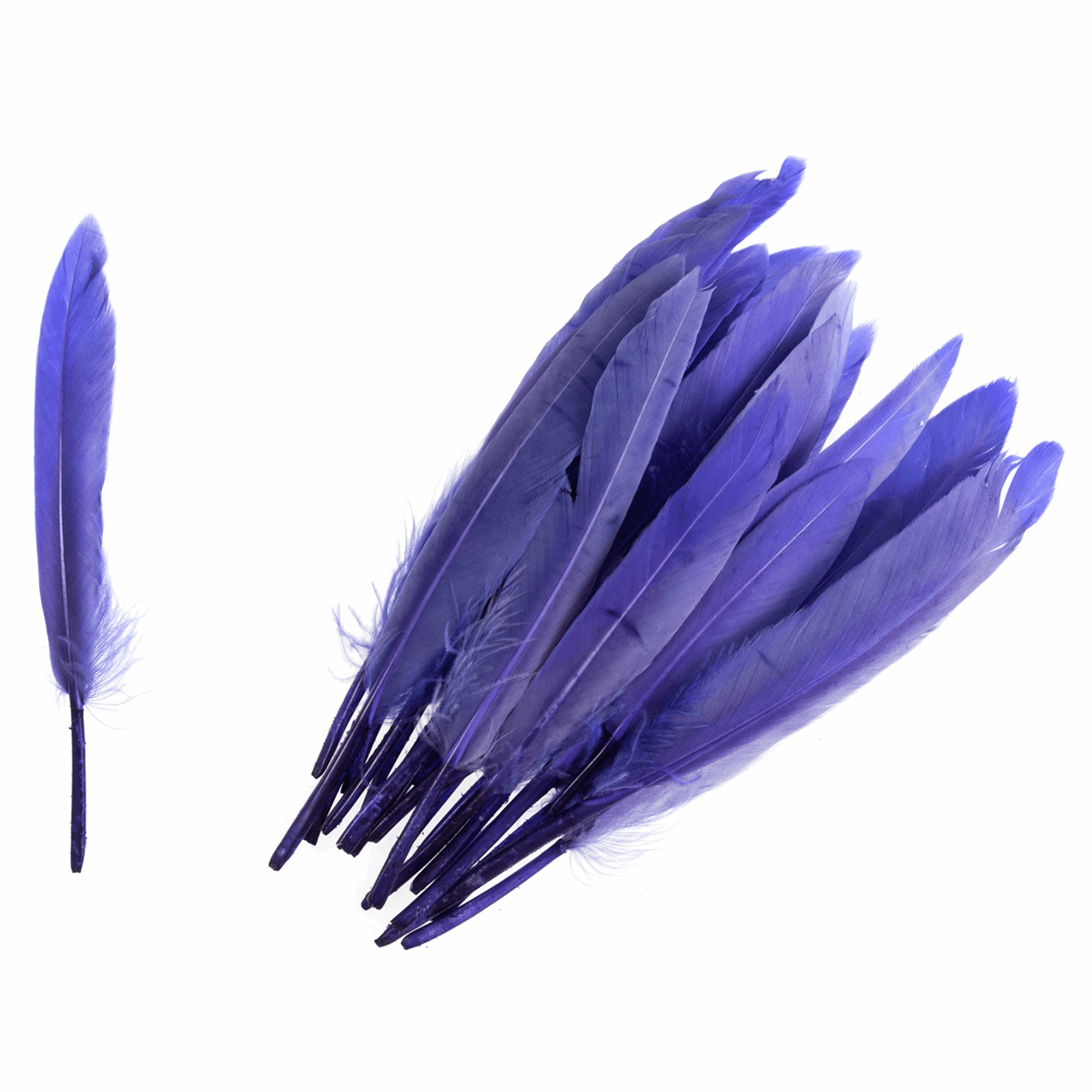 Trimits Duck Feathers - Purple (Pack of 24)