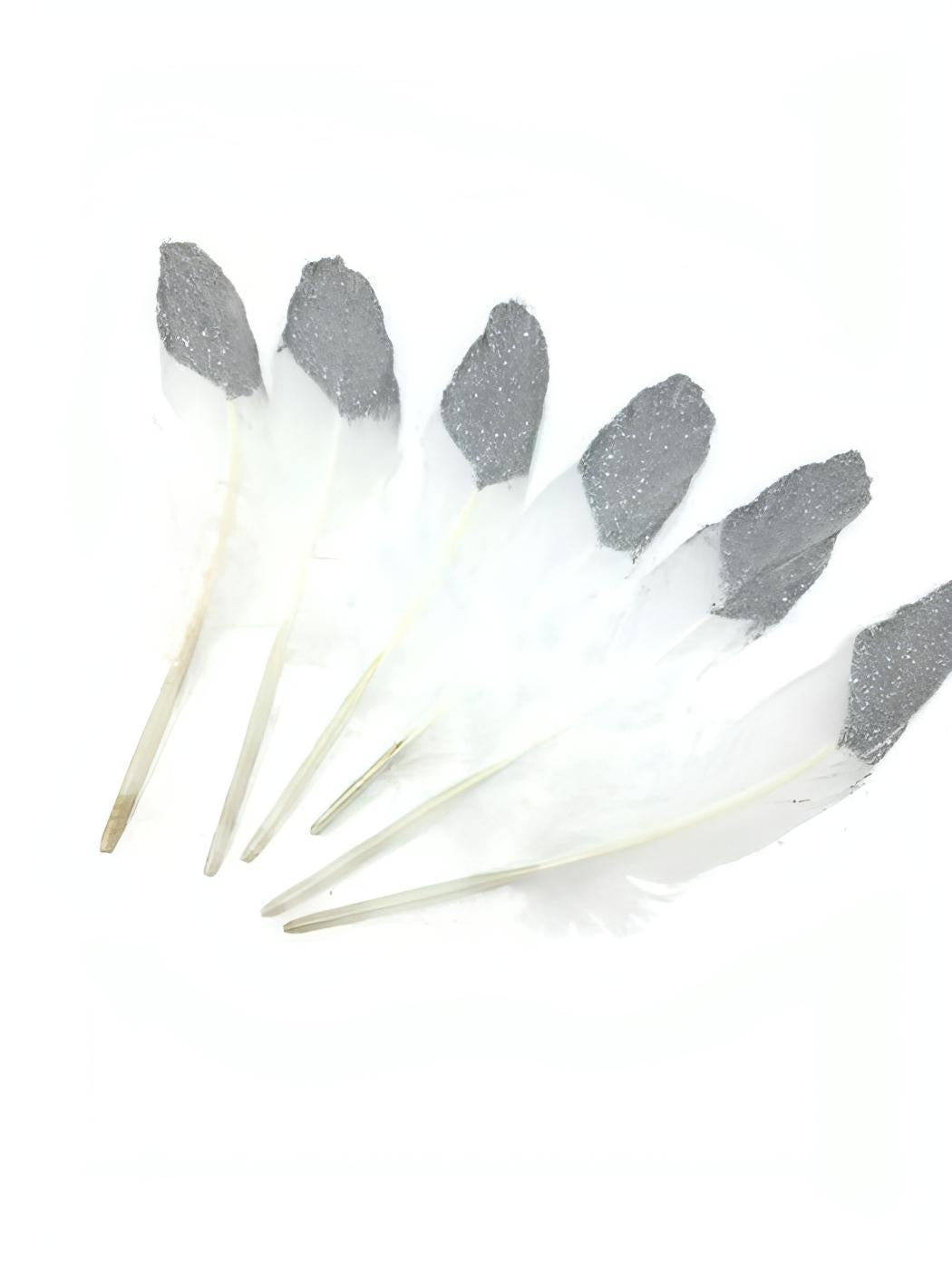Half Silver Glitter-Dipped Feathers - 20cm (Pack of 6)